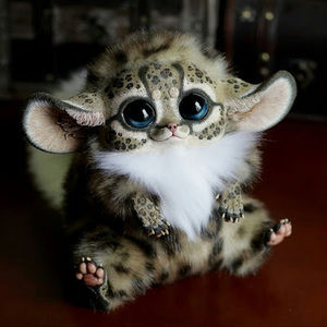 Meet your Posher, Theresa